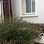 Bel F2 Lumineux Avec Terrasse Privee, A 5 Min Des Thermes Et Coeur De Ville, Animaux Acceptes - Fr-1-451-37