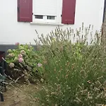 Διαμέρισμα Bel F2 Lumineux Avec Terrasse Privee, A 5 Min Des Thermes Et Coeur De Ville, Animaux Acceptes - Fr-1-451-37