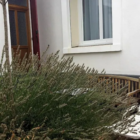 Bel F2 Lumineux Avec Terrasse Privee, A 5 Min Des Thermes Et Coeur De Ville, Animaux Acceptes - Fr-1-451-37