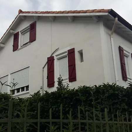 Bel F2 Lumineux Avec Terrasse Privee, A 5 Min Des Thermes Et Coeur De Ville, Animaux Acceptes - Fr-1-451-37