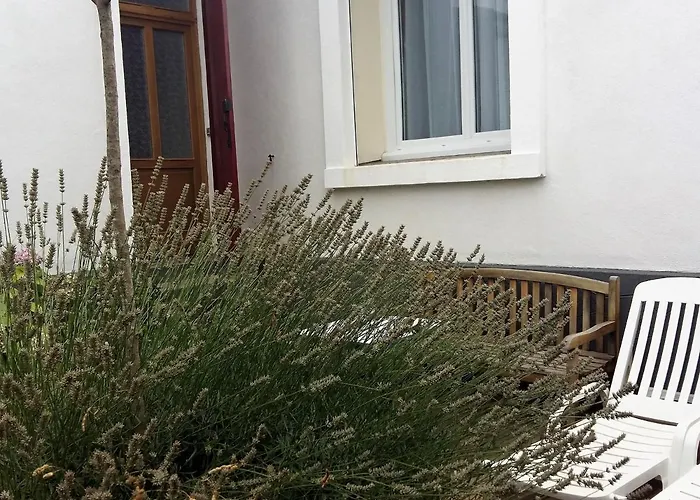 Bel F2 Lumineux Avec Terrasse Privee, A 5 Min Des Thermes Et Coeur De Ville, Animaux Acceptes - Fr-1-451-37