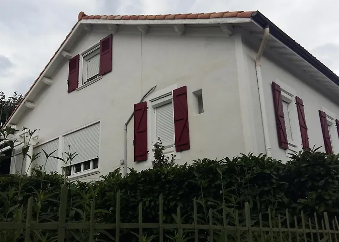 Bel F2 Lumineux Avec Terrasse Privee, A 5 Min Des Thermes Et Coeur De Ville, Animaux Acceptes - Fr-1-451-37