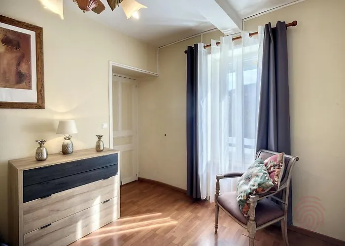 Bel F2 Lumineux Avec Terrasse Privee, A 5 Min Des Thermes Et Coeur De Ville, Animaux Acceptes - Fr-1-451-37