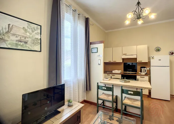 Διαμέρισμα Bel F2 Lumineux Avec Terrasse Privee, A 5 Min Des Thermes Et Coeur De Ville, Animaux Acceptes - Fr-1-451-37 *