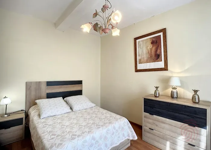 Bel F2 Lumineux Avec Terrasse Privee, A 5 Min Des Thermes Et Coeur De Ville, Animaux Acceptes - Fr-1-451-37 *